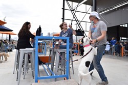 Bar K Dog Park and Restaurant Wants People to 'Come. Sit. Stay.'&nbsp;